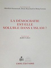 LA DEMOCRATIE EST-ELLE SOLUBLE DANS L'ISLAM ?