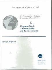 Produit Hegemony wired:Américainpolitics and the new économy  N°28 Image