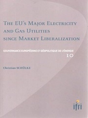 Produit The EU's Major Electricity and Gaz Utilities since Market Liberalization Image