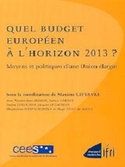 Produit Quel budget Européen à l'horizon 2013 ? Image