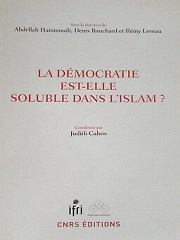 Produit LA DEMOCRATIE EST-ELLE SOLUBLE DANS L'ISLAM ? Image